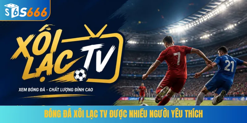 Bóng đá Xôi Lạc TV được nhiều người yêu thích