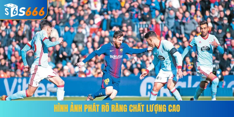 Hình ảnh phát rõ ràng chất lượng cao