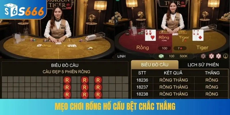 Mẹo chơi Rồng Hổ cầu bệt chắc thắng