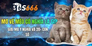 Mơ về mèo có nghĩa là gì