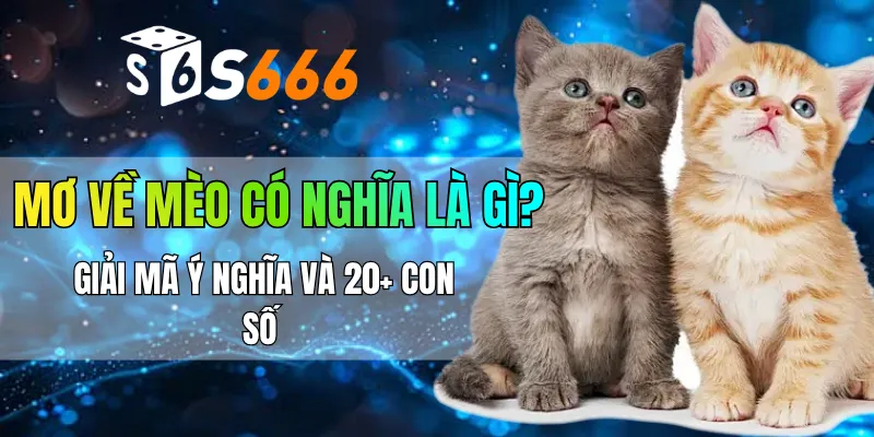 Mơ về mèo có nghĩa là gì