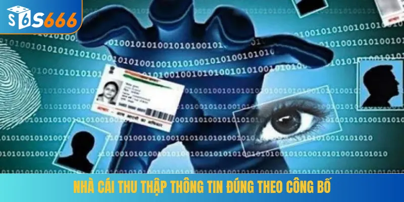 Nhà cái thu thập thông tin đúng theo công bố