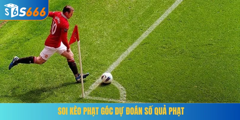 Soi kèo phạt góc dự đoán số quả phạt